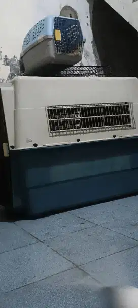 Kennel box pet cargo kandang anjing