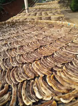 Babangi sale pisang ambon