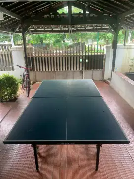Meja pingpong tenis meja Double Fish Original