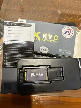 SSD M.2 256gb 2242