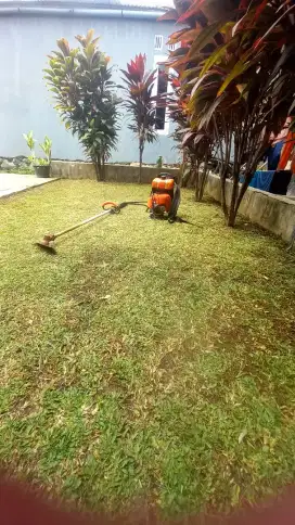 Bersih2 taman perawatan dll