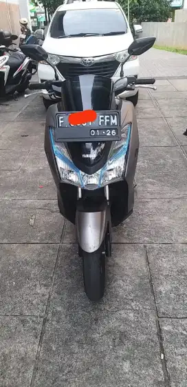 Jual cepat, Lexi 2021