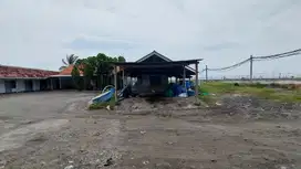 Di Jual Tambak Udang Vaname di Desa Agel - Situbondo