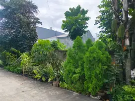 Dijual tanah dimeruya utara jakbar