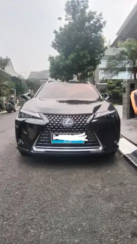 LEXUS UX300e electric
