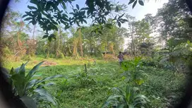 Tanah Kosong area pinggir jalan 3.980