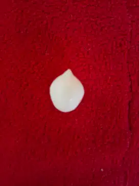 Batu kelapa asli