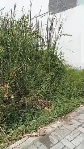 ‼️JUAL CEPAT‼️TANAH SIAP BANGUN DI PONDOK BENOWO INDAH PAKAL SBY BARAT