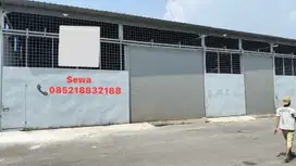 DISEWAKAN PERGUDANGAN DAAN MOGOT PRIMA KM 12.8