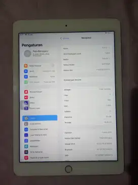 iPad Air 2 64gb Wifi + Cell ( Smartfren )