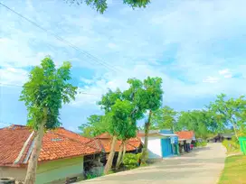 Invest Kavling Dekat Akses Tol Japek II Selatan, 1 Jt-an/m2