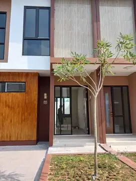 Rumah minimalis nuansa jepang dan asri