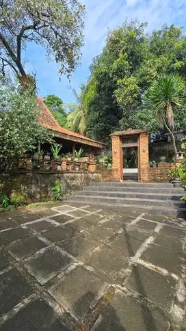 JUAL RUMAH ASRI HITUNG TANAH DI BINTARO SEKTOR 9 LOKASI STRATEGIS