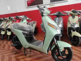 Sepeda listrik d75