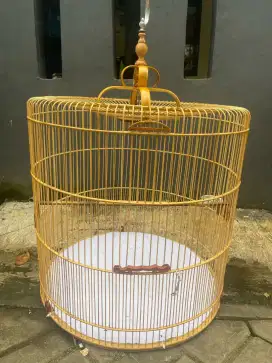 Kandang murai, ukuran jumbo 80x80