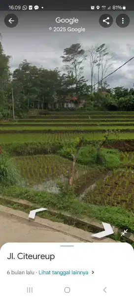 Jual Sawah Produktif