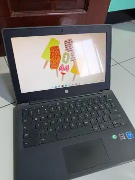 Laptop Like New : HP Chromebook 11 G8