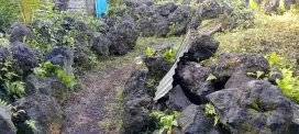 Batu Padas Hitam Gunung Agung per truk
