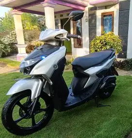 Yamaha gear THN 2022 StnK 6jt400