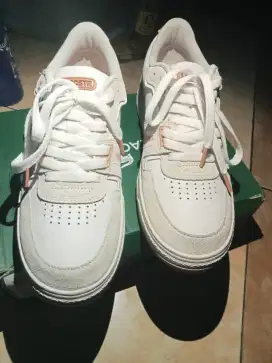 Sepatu lacoste cowok