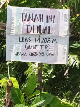 Dijual tanah di Jl Baja-Pasir Putih Kel.Pandau Jaya, Kec.Siak Hulu