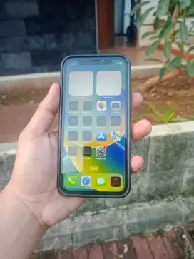 iPhone X 256Gb Normal