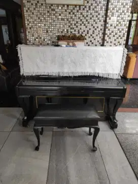 Piano Upright Neindoregard
