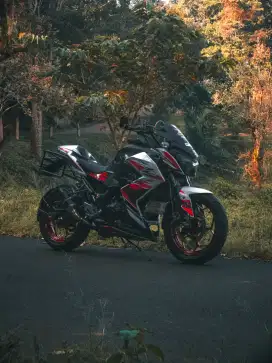 Kawasaki z250fi 2013