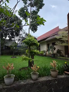 Dijual Rumah Asri Terawat di Sayap Sukajadi Dekat PVJ