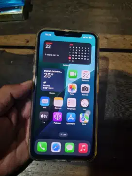 Ip 11 pro max 256 Beacukai