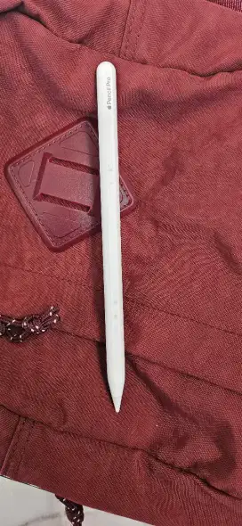 Apple Pencil Pro 2025