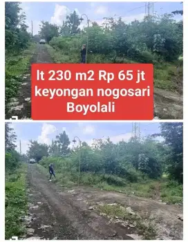 dijual tanah milik sendiri