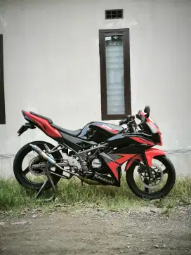 Ninja rr new mulus