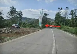 Tanah Di Pattalasang,Gowa,Makassar,Sulawesi Selatan