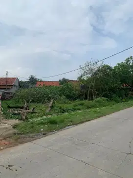 Di jual tanah darat pinggir jalan utama, Tambelang. Bekasi.