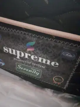Springbed Merk ELITE ( Kondisi Istimewa )