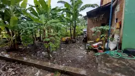 tanah murah dijual