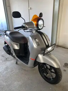 Fazzio Lux 2023