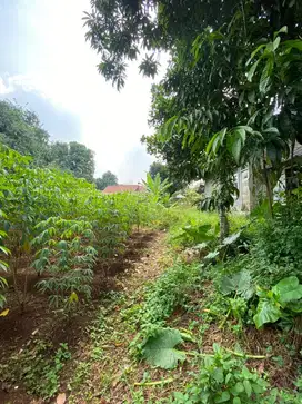 DIJUAL TANAH SIAP GARAP – PARUNG, BOGOR