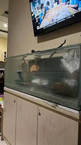 JUAL AQUARIUM BEKAS