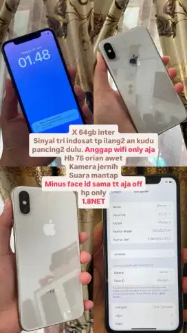 iPhone X 64 GB inter