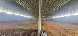 DI SEWAKAN GUDANG BARU DI PANTURA BATANG - JAWA TENGAH