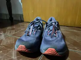 Asics novablast 5 uk 45-46