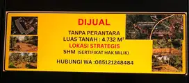 DIJUAL TANAH TANPA PERANTARA SHM LUAS TOTAL 4732m² HARGA /METER 2.5jt