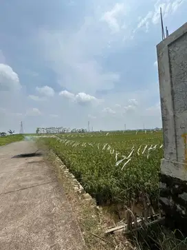 Tanah Strategis . 6848  M2 . Karawan Barat  . Zona Industri