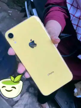 JUAL IPHONE XR 256GIGA INTER