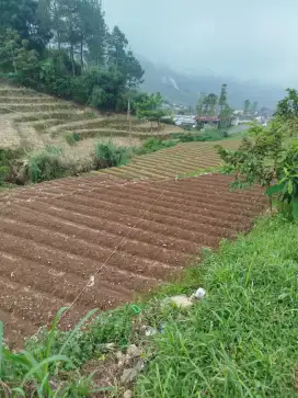 Dijual Tanah Wonosobo Gataksari – 2.000 m² Cocok Villa & Homestay