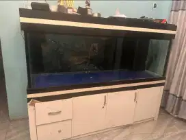 Aquarium uk. 200x60x70