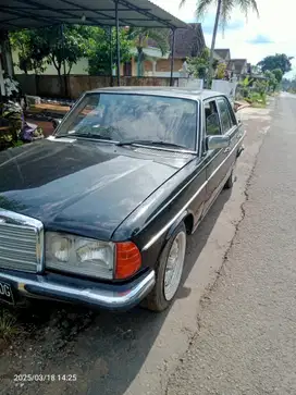 Mercedes-Benz Tiger 1982 Bensin
