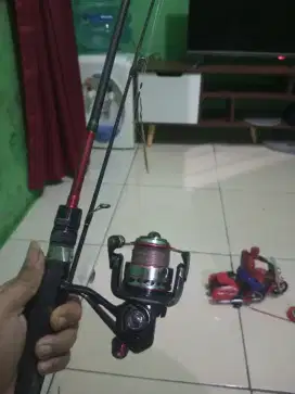DAIDO ATHENA PRO SERIES DAN DAIDO FUJITEX 2000